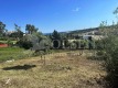 Foto10