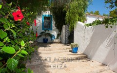 Foto8