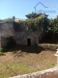 Foto15