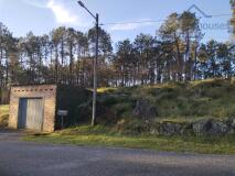 Foto21