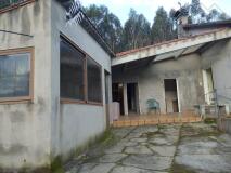 Foto33