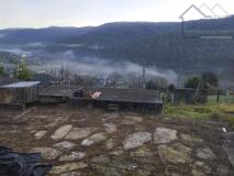 Foto37