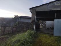 Foto46