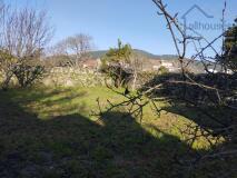 Foto19