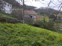 Foto15