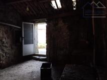 Foto6