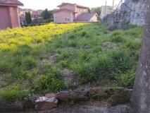 Foto12