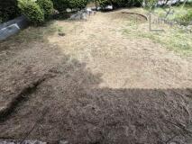 Foto13
