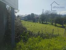 Foto5