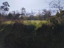 Foto8