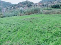 Foto5