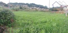 Foto8