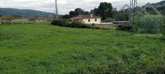 Foto9