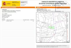 Foto6