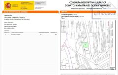 Foto8
