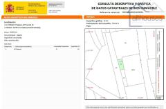 Foto9