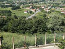 Foto1