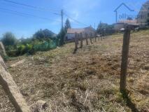 Foto5