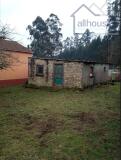 Foto5