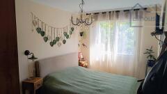 Foto8