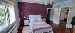 Foto23