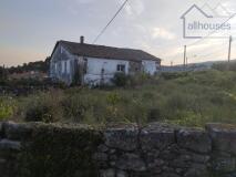Foto2