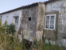 Foto19