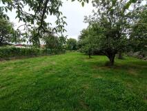 Foto34