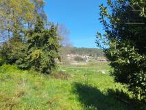 Foto9