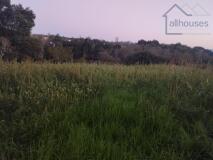 Foto5