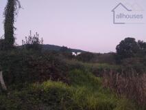 Foto6