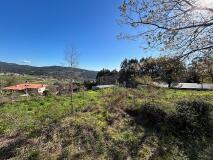 Foto36