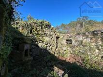 Foto41