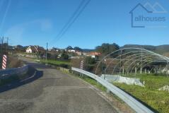 Foto3