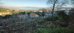 Foto4