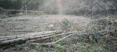 Foto7