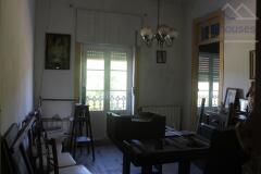 Foto20