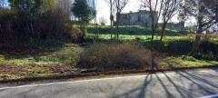 Foto9