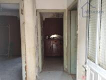 Foto6