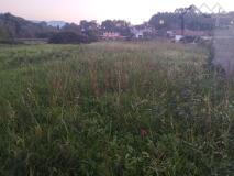 Foto4