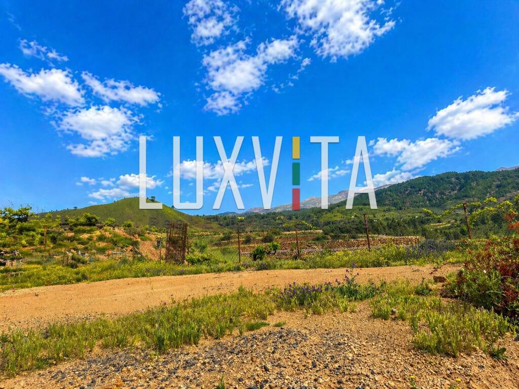 Parcela en venta en Granadilla de Abona