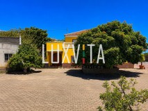 Foto6