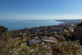 Foto44