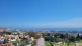 Foto1