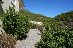 Foto21
