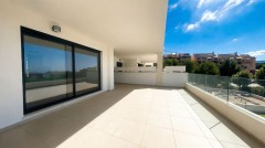 Foto8