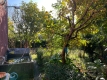 Foto16