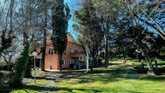 Foto1