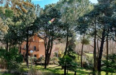 Foto16