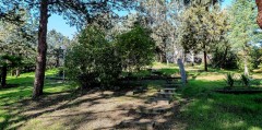 Foto44